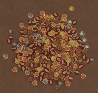 Mixed Pie Drop